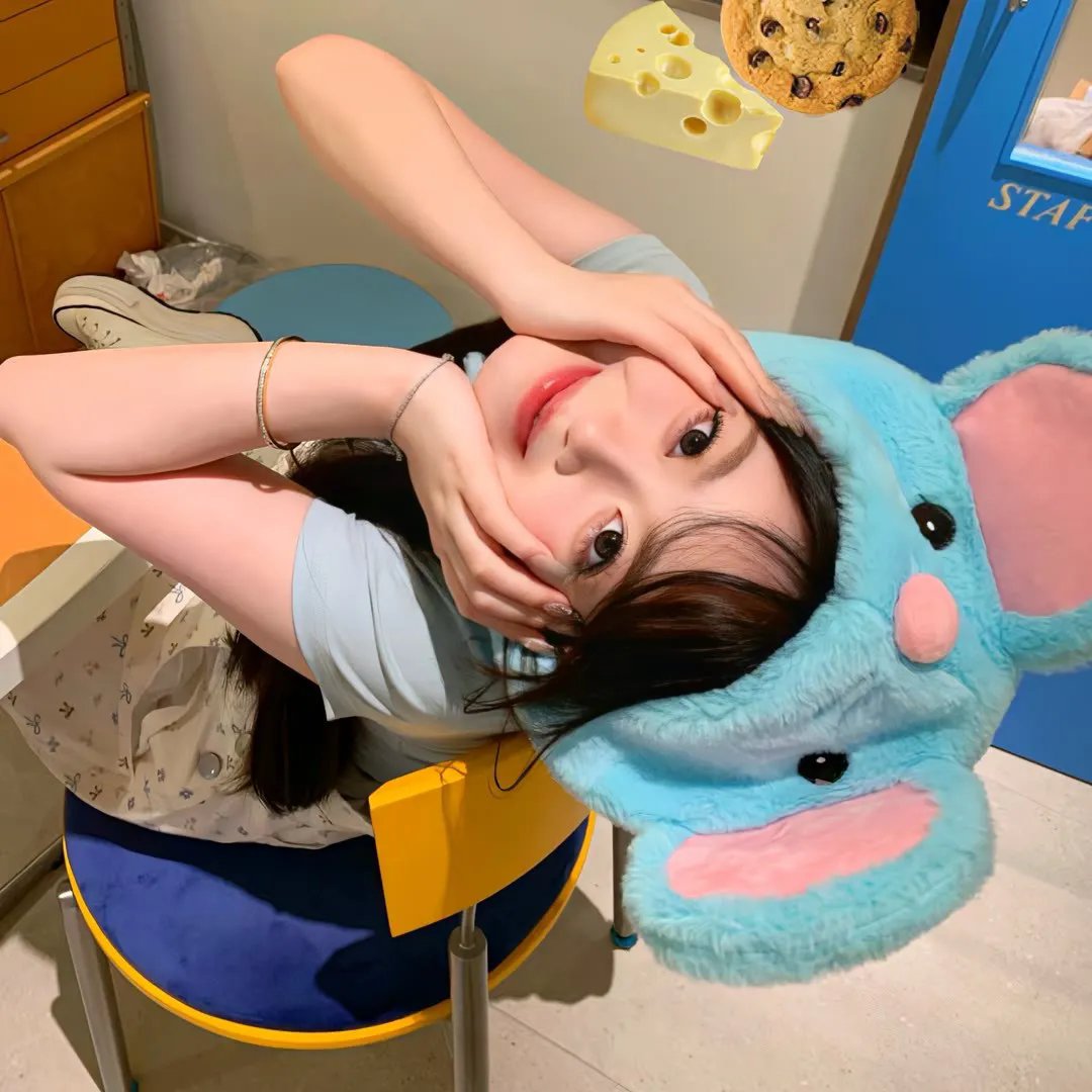 老鼠危机